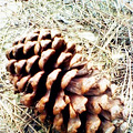 1302235330095.jpg