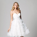 ��Ʒ�ƻ�ɴ������Watters Bride Fall 2012_3