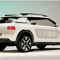 ѩ����������C4 Cactus�����泵��  �����ô��_1