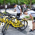 ofo��������-��С�Ƴ�������פ�ٰ�