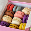 ʥڣϲMacaroon_1