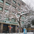 2011.1.20ϲ_0