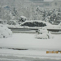 2011.1.20ϲ_4
