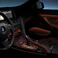 ��˵�е�BMW 6ϵ  Ѽ�氡_5