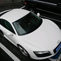 ��ţ�����ġ����������� ����ɹɹ����Audi R8 V8 FSI_4