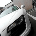 ��ţ�����ġ����������� ����ɹɹ����Audi R8 V8 FSI_5