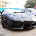 �����ģ�������ţ���������� Aventador LP700-4 �� _1