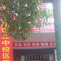 优质教育暑假衔接班开始报名啦！_3
