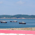 大陈岛风光_3