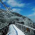 2014年春节安排张家界休闲旅游-----大米组织（报名结束）_3