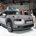 ѩC4 Cactus౱չ _5