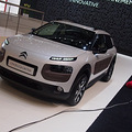 ѩC4 Cactus౱չ _0