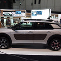 ѩC4 Cactus౱չ _3
