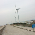 温岭东海塘赏油菜花归来（2014.3.20）_0