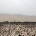 温岭东海塘赏油菜花归来（2014.3.20）_2