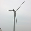 温岭东海塘赏油菜花归来（2014.3.20）_3