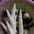 【吃货随手拍】爱家，爱生活_1