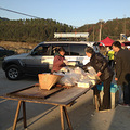 【说走就走03】连续2天2次穿越红树林，徒步11小时。_4