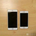 ����֪��̨�ݺ���Ϊʲôϲ����iPhone 6 Plus������6�� 