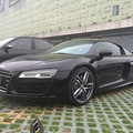 ��ɫR8 V10