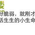 椒江洪家11岁小孩放学后被雷劈死最新消息，安徽人，还有个姐姐_2