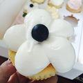 ���Ի���̨�ݡ�������cup cake��_3