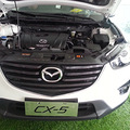 Լݱ桿 +CX-5Լݹǲ_5
