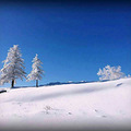 12月-1月 北国的冬天：哈尔滨-雪谷-雪乡5天行约伴（有领队费）_2