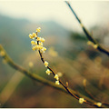 东漈-中雁荡山——山水惬意游_0