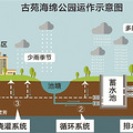 杭州开建首个海绵公园 能吸能排能浇灌