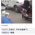 又见一起碰瓷，碰瓷dog为何如此猖獗？_1