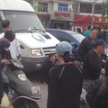 又见一起碰瓷，碰瓷dog为何如此猖獗？_2
