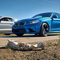 �ĸ������ˬ��M2����GT350R?_3