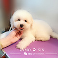 Kimo-kin��5�����޻��ǣ�_3