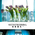 SUEYUEWEDDING̨ݹʡ