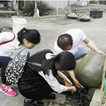 台州有人养几千只蚊子 还给它们好吃好喝住空调房