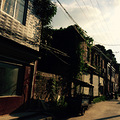 三改一拆为何拆不了这群违章建筑_5