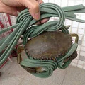 建房修路缺水泥？现在买一箱苹果送7斤水泥，你还不赶紧去？_3