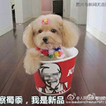 黄金周大数据来啦，什么事是让您最“糟心”的呢？_1