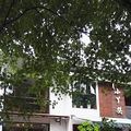 隐居西湖——白乐桥之旅_3
