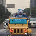 今天，温岭街头一男子身穿恐龙服大胆示爱！_0