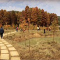 【旅游日记】+2016年临海小芝红树林旅行攻略_0