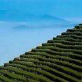 台州这10大名山你爬过那几座？我爬过3座！你呢_4