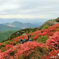 台州这10大名山你爬过那几座？我爬过3座！你呢_5