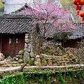 美呆了！黄岩这些绝美村庄，满足你对古村的一切幻想！_0