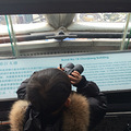 【旅游日记】+上海东方明珠加中国馆两日游_0