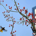全国空气质量排名出炉，台州位列第七_2