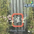 38元一只青岛大虾算什么？深圳小黄鱼笑了：4628元只够买2条！_5
