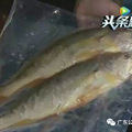38元一只青岛大虾算什么？深圳小黄鱼笑了：4628元只够买2条！_1