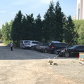 椒江殿后陶老人协会闪亮登场！自划停车场，每辆车收费5元_3